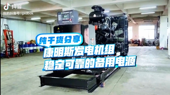 「視頻」如何應對夏天斷電危機？640KW康明斯發電機組助您輕松應對挑戰 